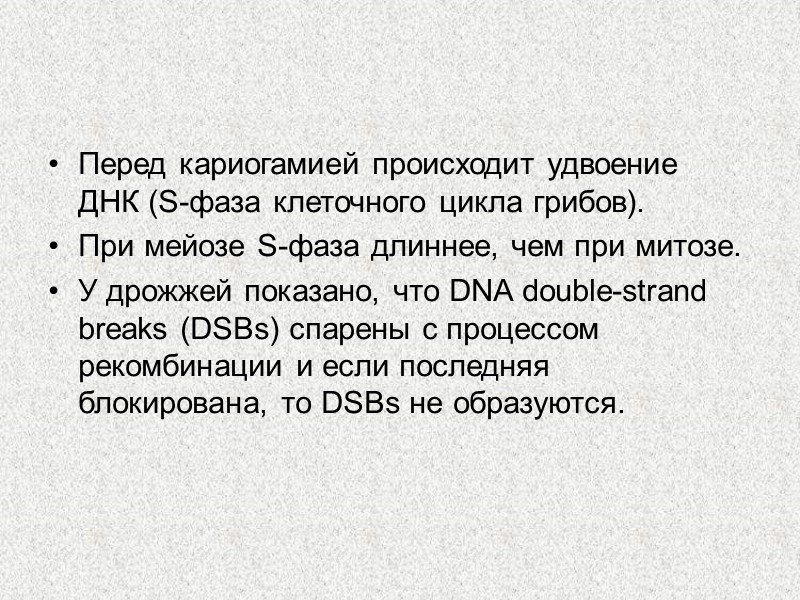 Перед кариогамией происходит удвоение ДНК (S-фаза клеточного цикла грибов). При мейозе S-фаза длиннее, чем